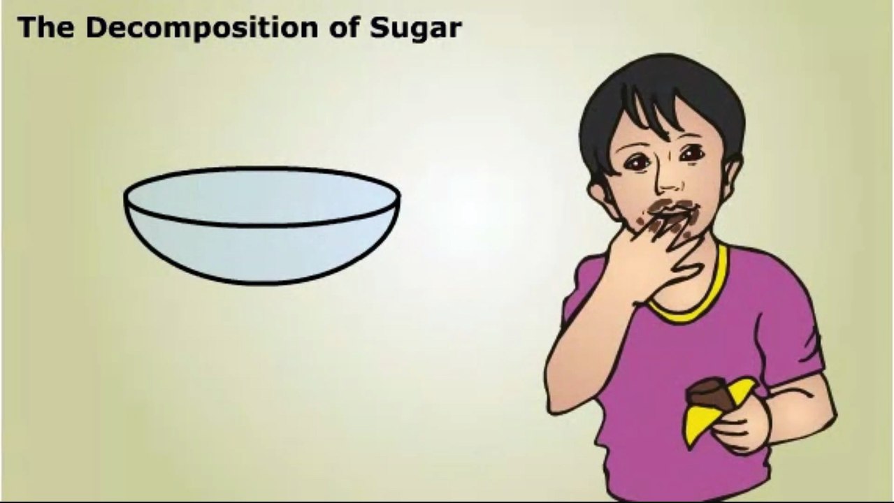 Enzyme Activation Energy