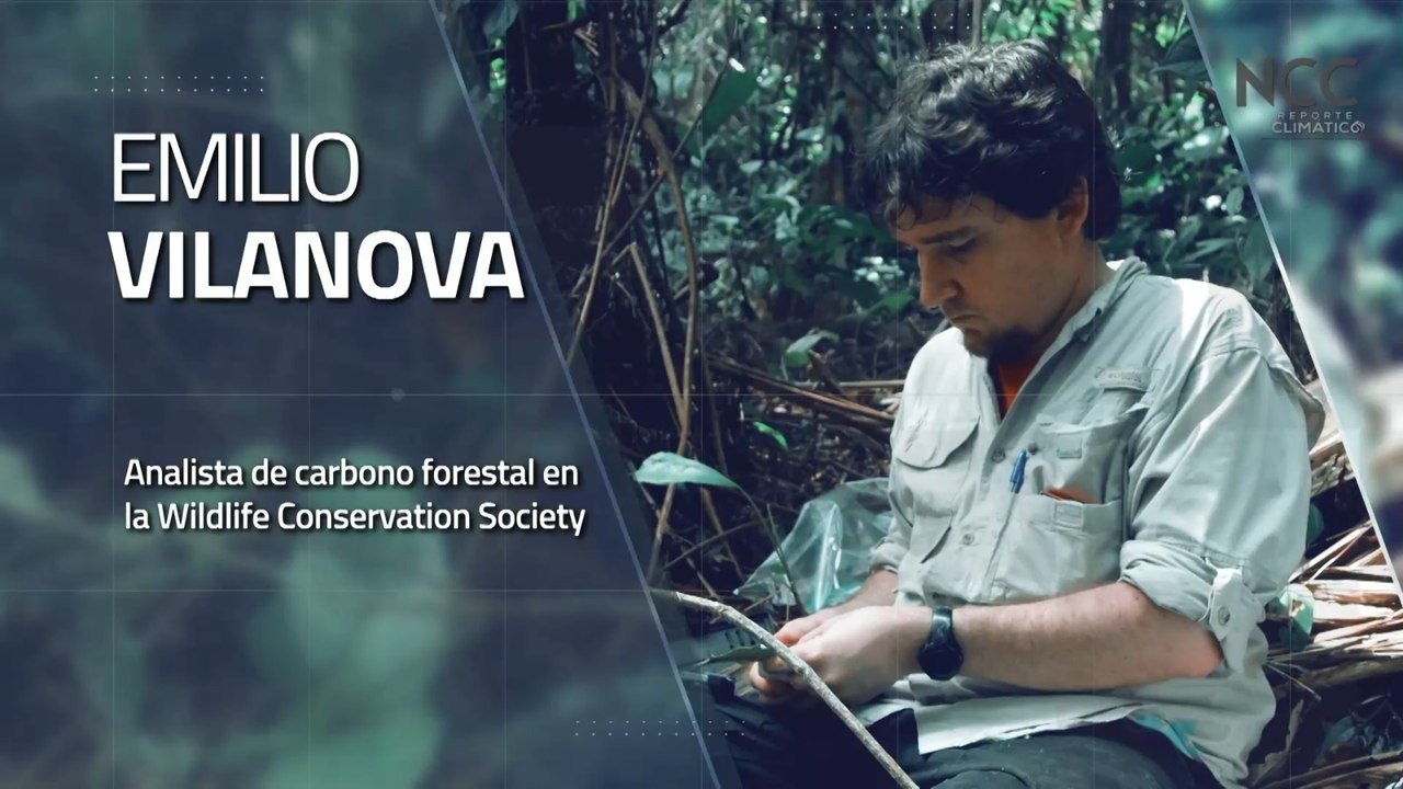 Reporte Climático 99 | Carbono forestal para combatir el cambio climático