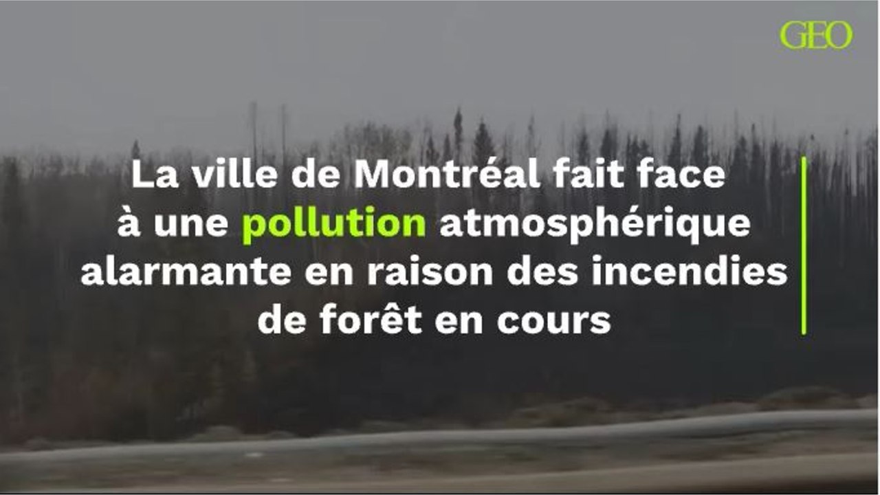 La ville de Montréal fait face à une pollution atmosphérique alarmante en raison des incendies de forêt en cours