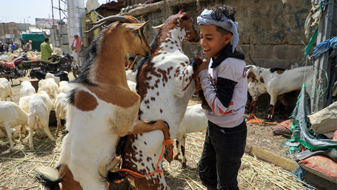 Eid Al Adha 2023 Date: 28 या 29 जून 2023 बकरीद कब | Bakrid 2023 Date | Boldsky