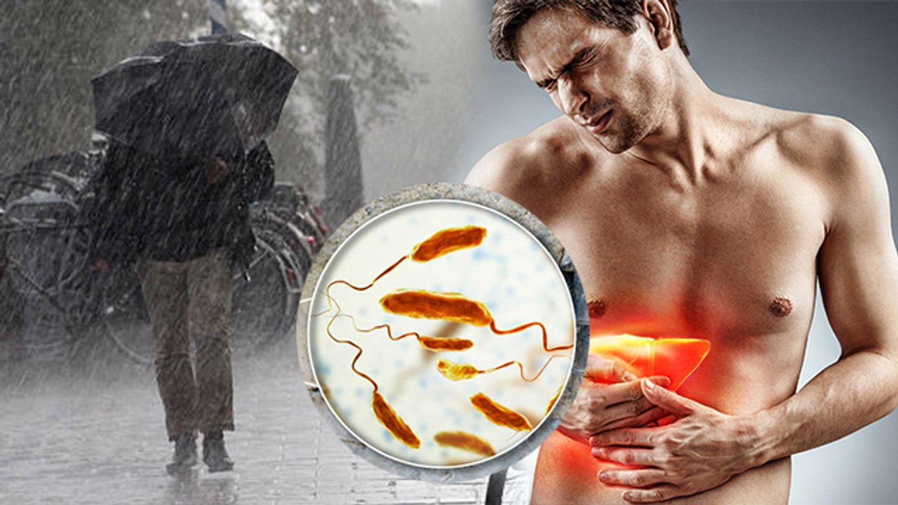 बारिश के पानी से कौन सी बीमारी फैलती है Typhoid से लेकर Hepatitis A का खतरा कैसे । Boldsky