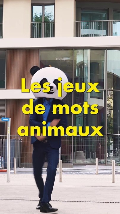 Jeu de mots des animaux !