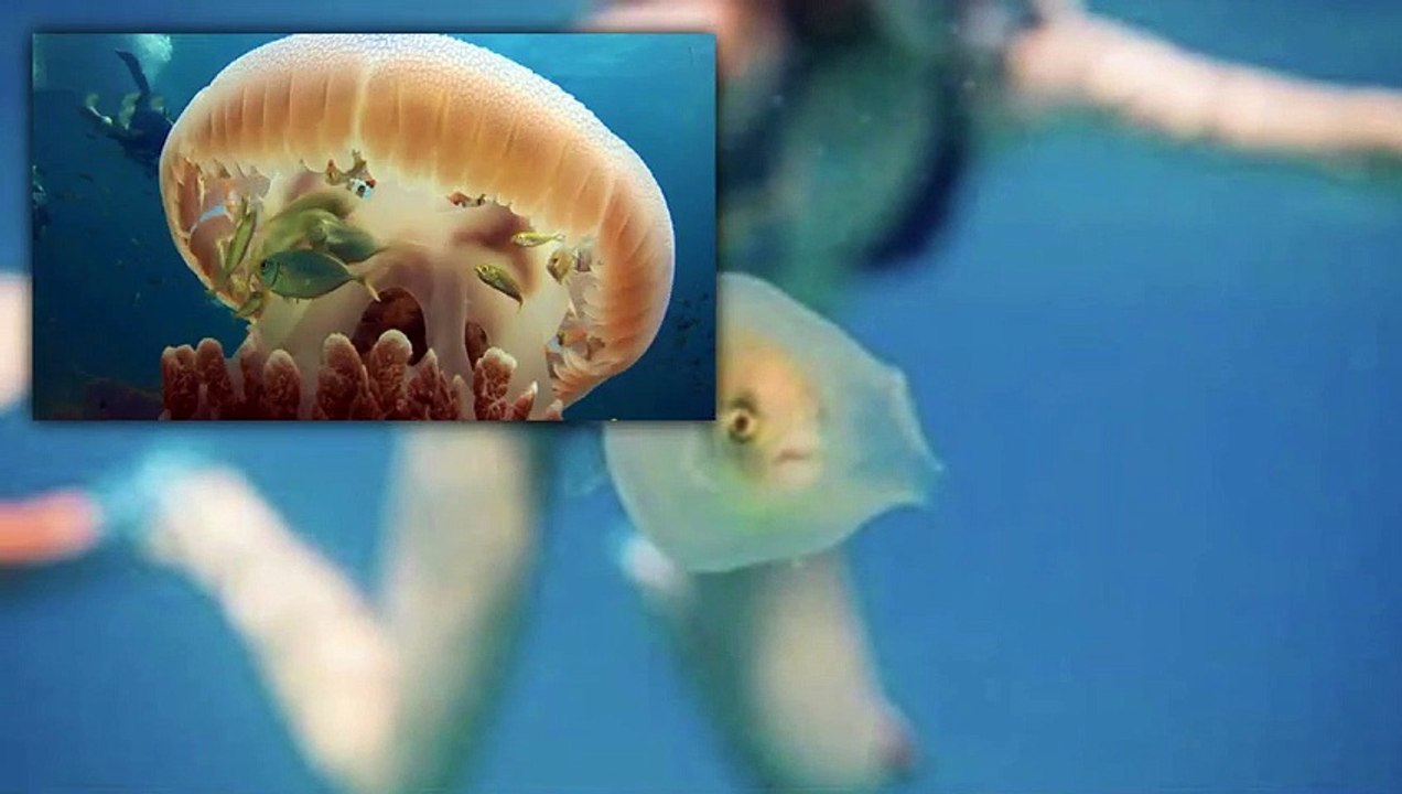 40 Krasse Bilder Erklärt