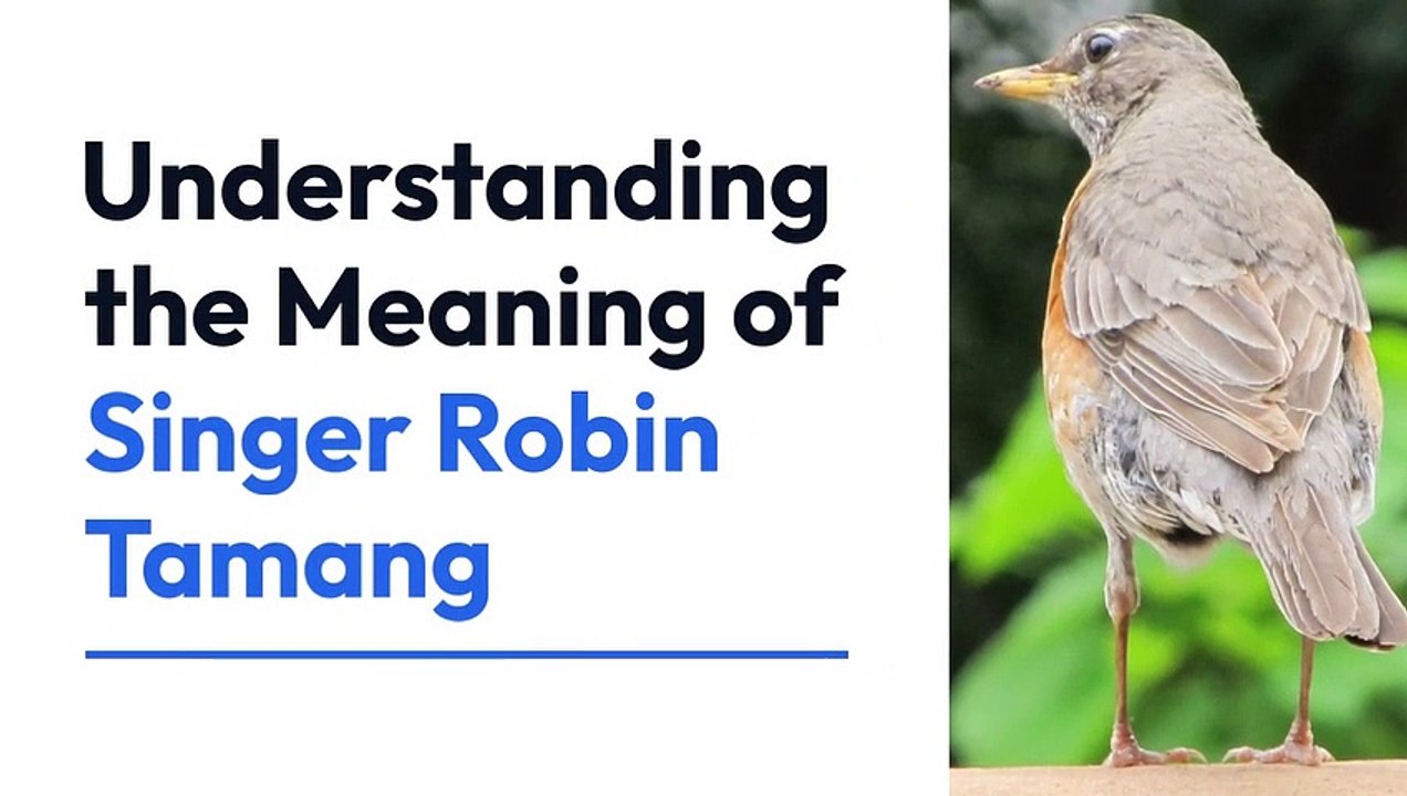 What Does Singer robin tamang Mean?