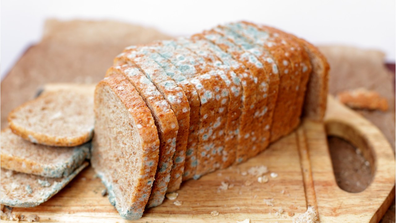 Here's what happens if you eat mouldy food