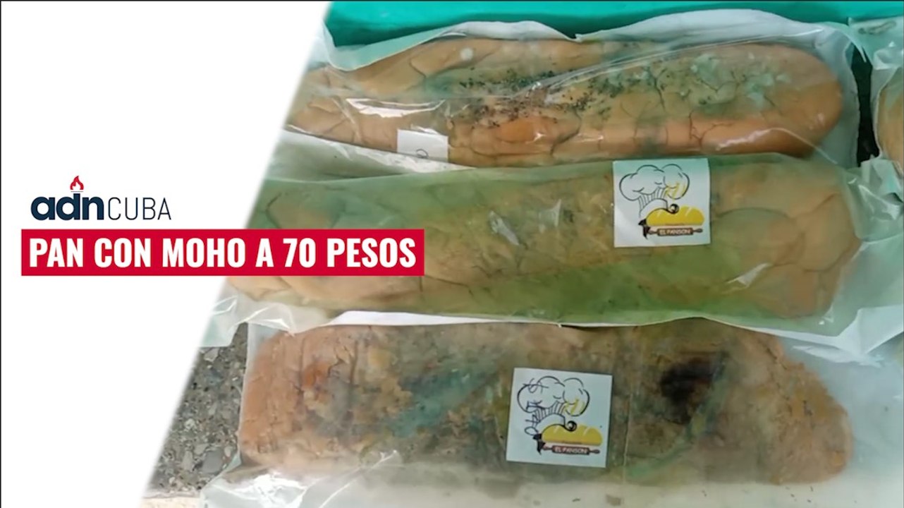 Pan con moho a 70 pesos
