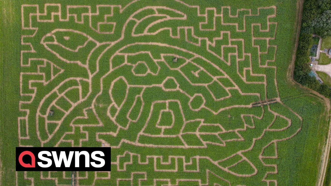 It takes two hours to walk around this maze, can you complete it in two minutes?