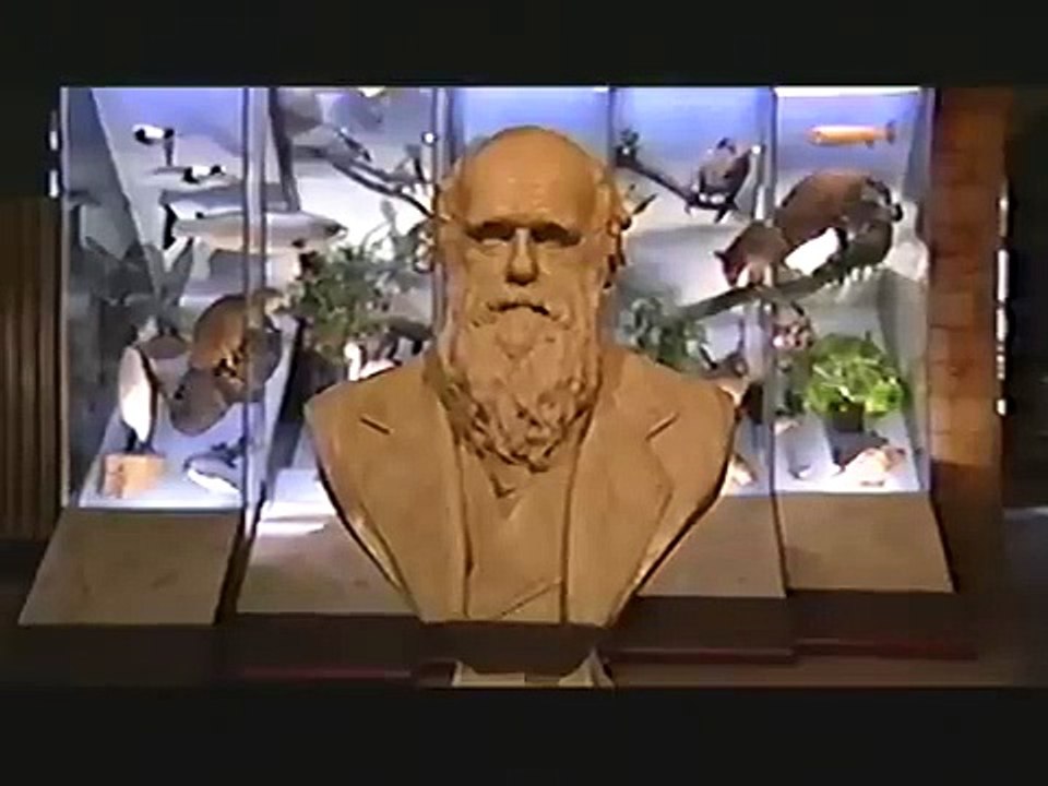 The Missing Link | Full Documentary | NOVA | PBS