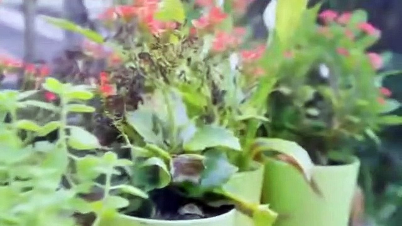 Sweet Revenge 1 - Ep 2 (Eng Sub)