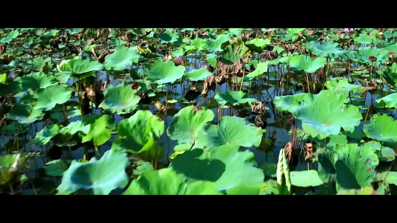 TÍA TUI LÀ CAO THỦ - phim hài chiếu rạp việt nam