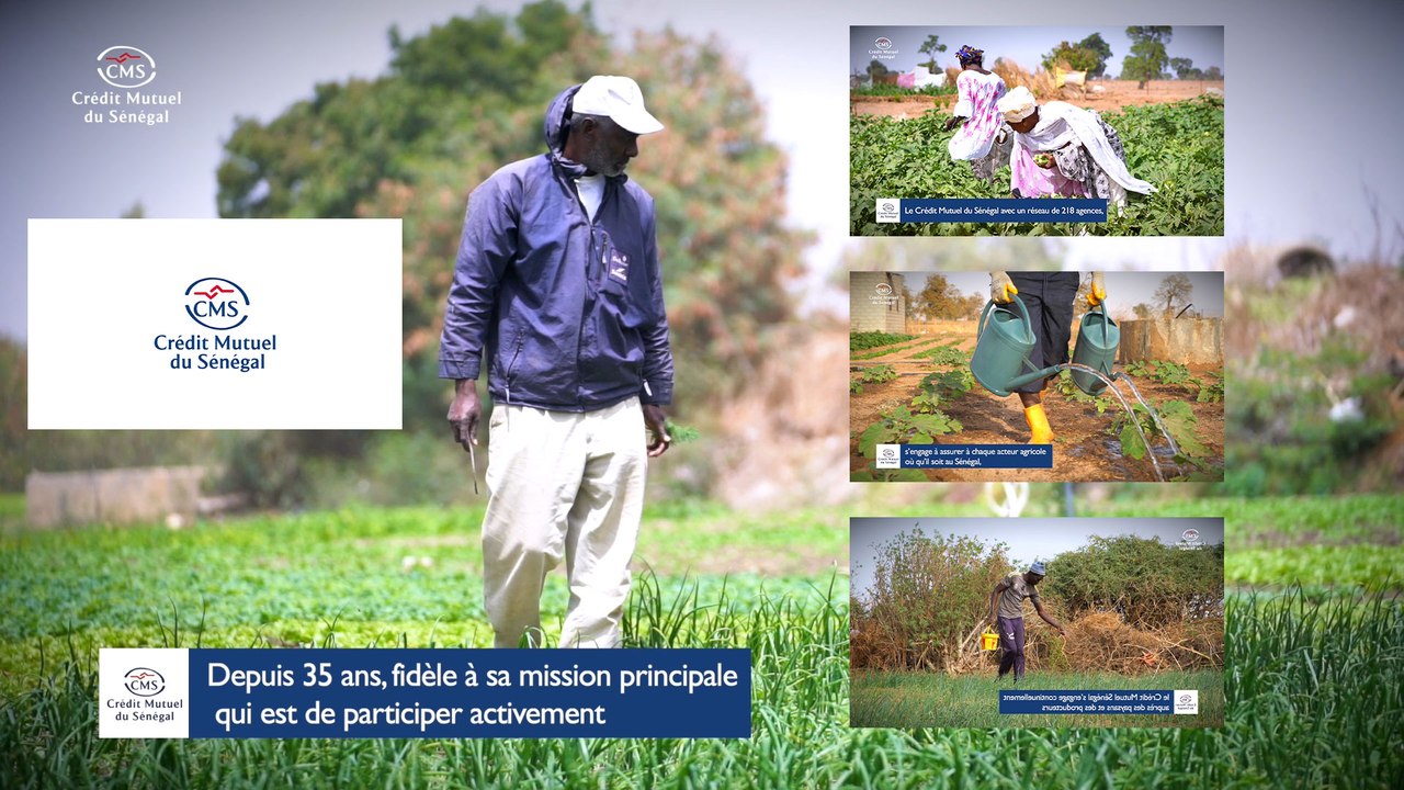 Financements : Le Crédit Mutuel du Sénégal accompagne les agriculteurs