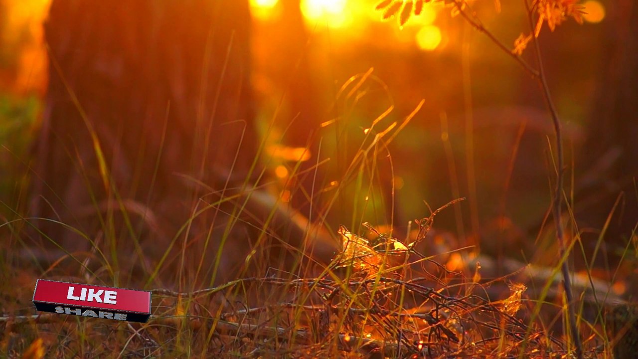 8D muSic | Rock muSic | MuSic for Headphones  5