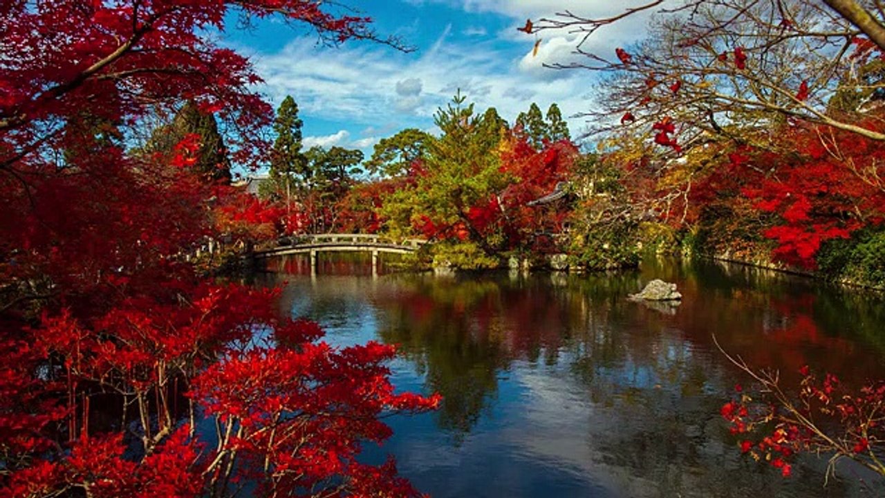 ✅Música instrumental para relaxar a mente