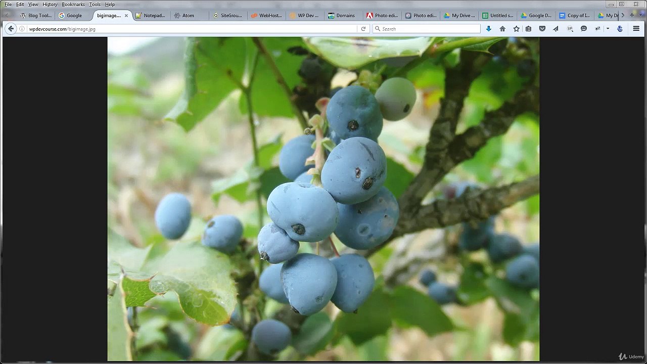 4. Tools - Domains, FTP, Image Editing, Invoices, and Taking Payments