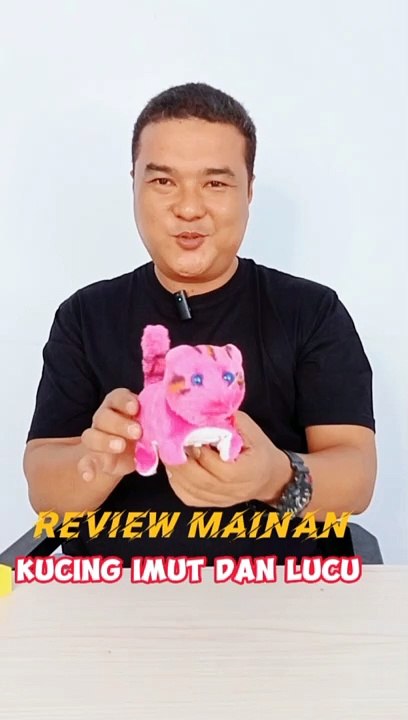 Mainan hewan kucing - mainan kucing anak-anak - mainan kucing unik - mainan kucing bersuara