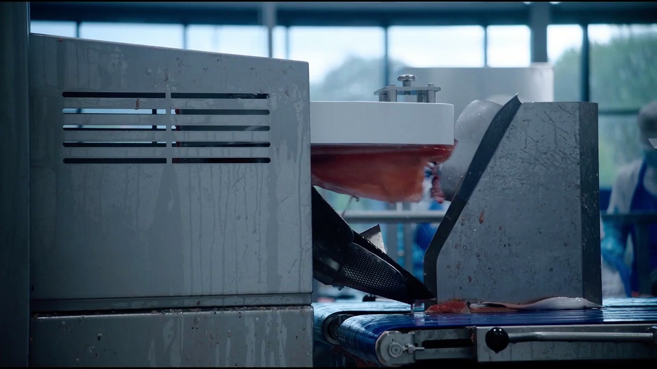 Norwegian Dream - Trailer