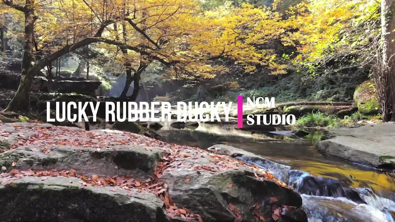 Lucky Rubber Ducky - Quincas Moreira   Reggae Music, Happy Music, Funny Music