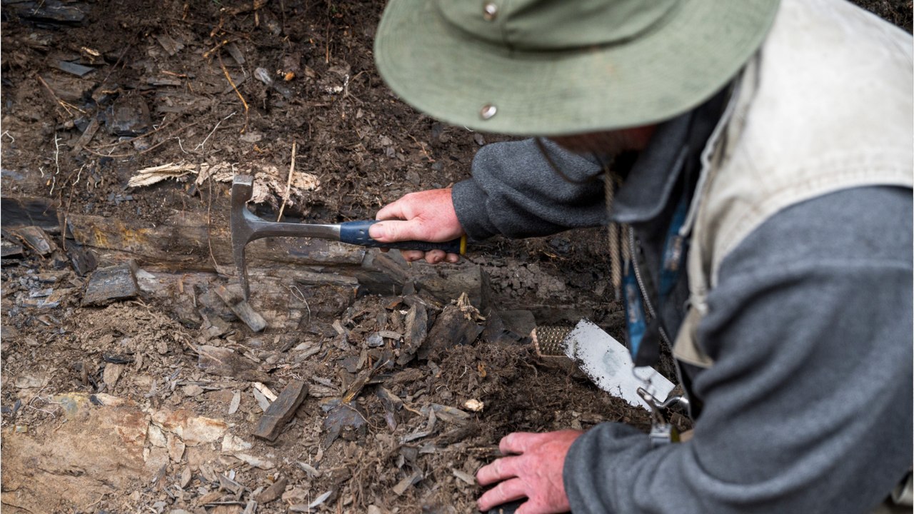 Beweise für das erste Massensterben in Deutschland gefunden?
