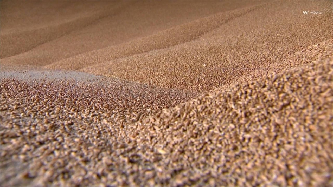 Global Grain Prices Increase After Russia Targets Ukraine’s Danube Port