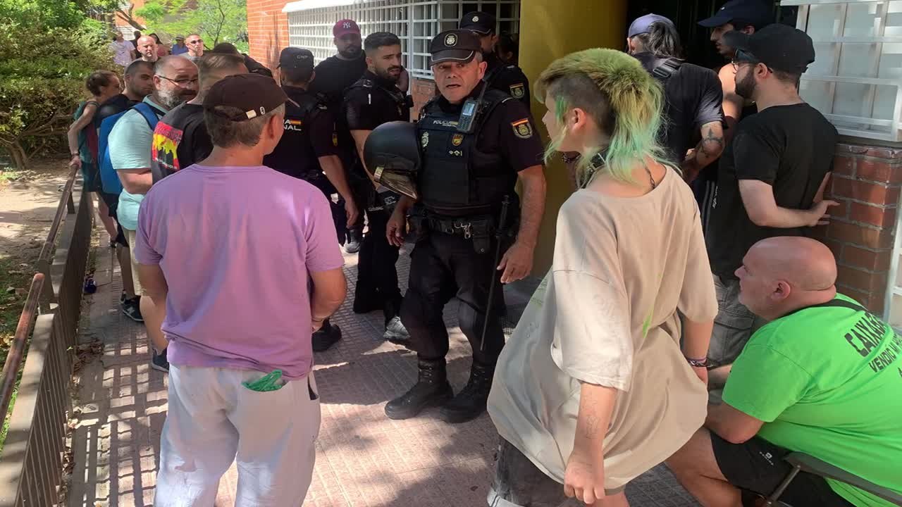 Vídeo - Loop Amparo V2