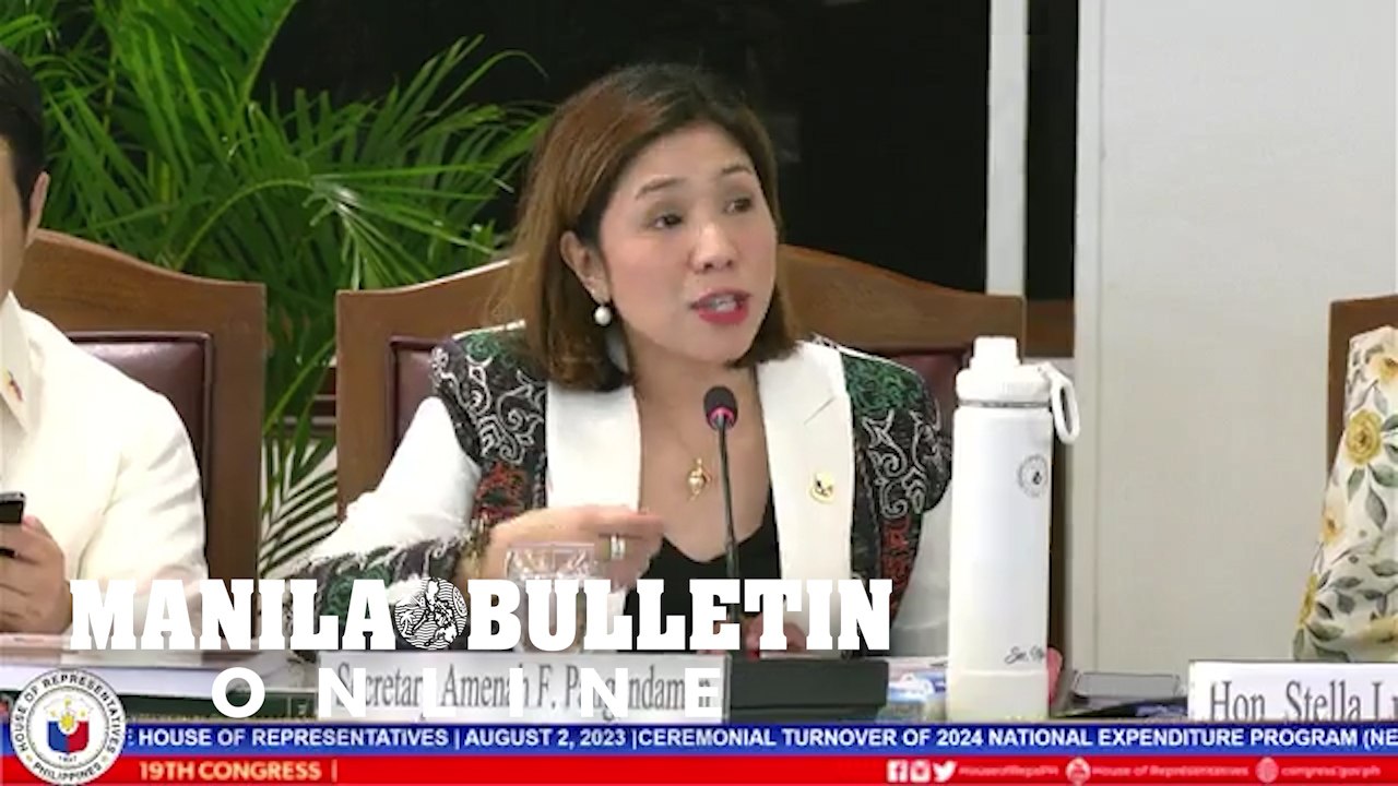 DBM chief: Maharlika fund won't impact 2024 national budget, but...