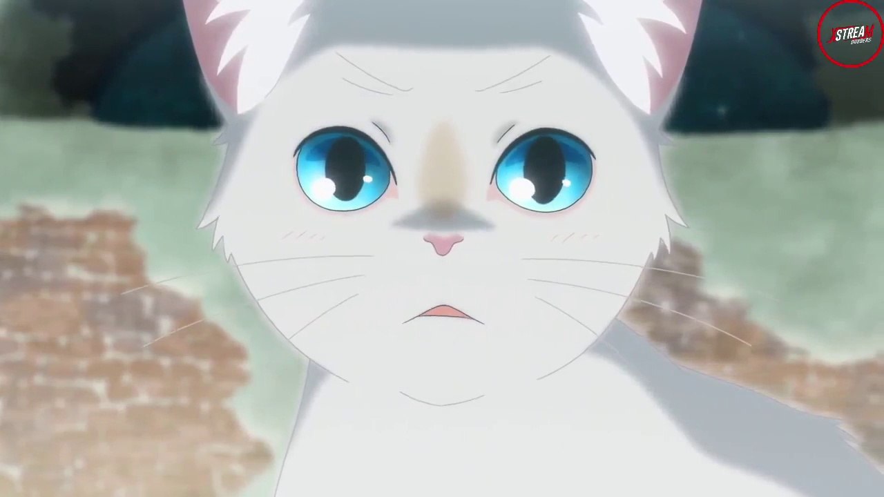 A Whisker Away Hindi Dubbed Anime