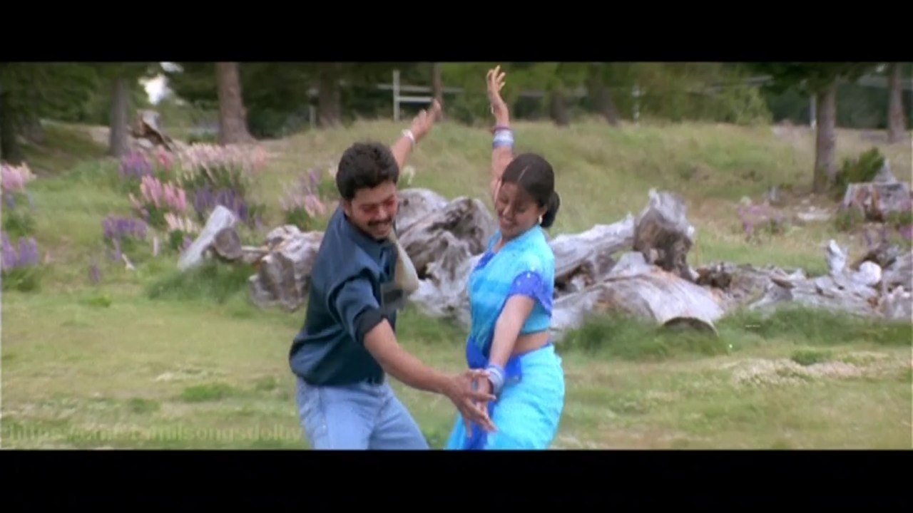 Nenjam Oru Murai Video Song - Vaseegara