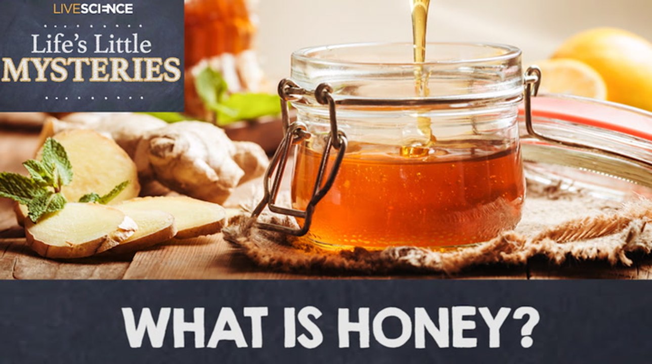 What is Honey?