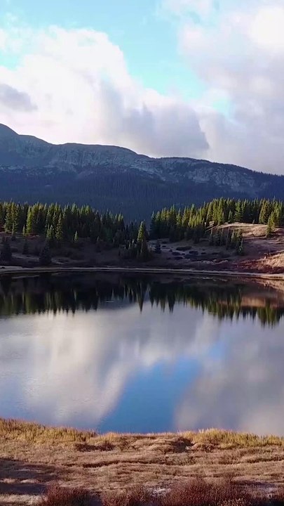 ✅Música alegre e positiva para levantar seu ânimo #Shorts