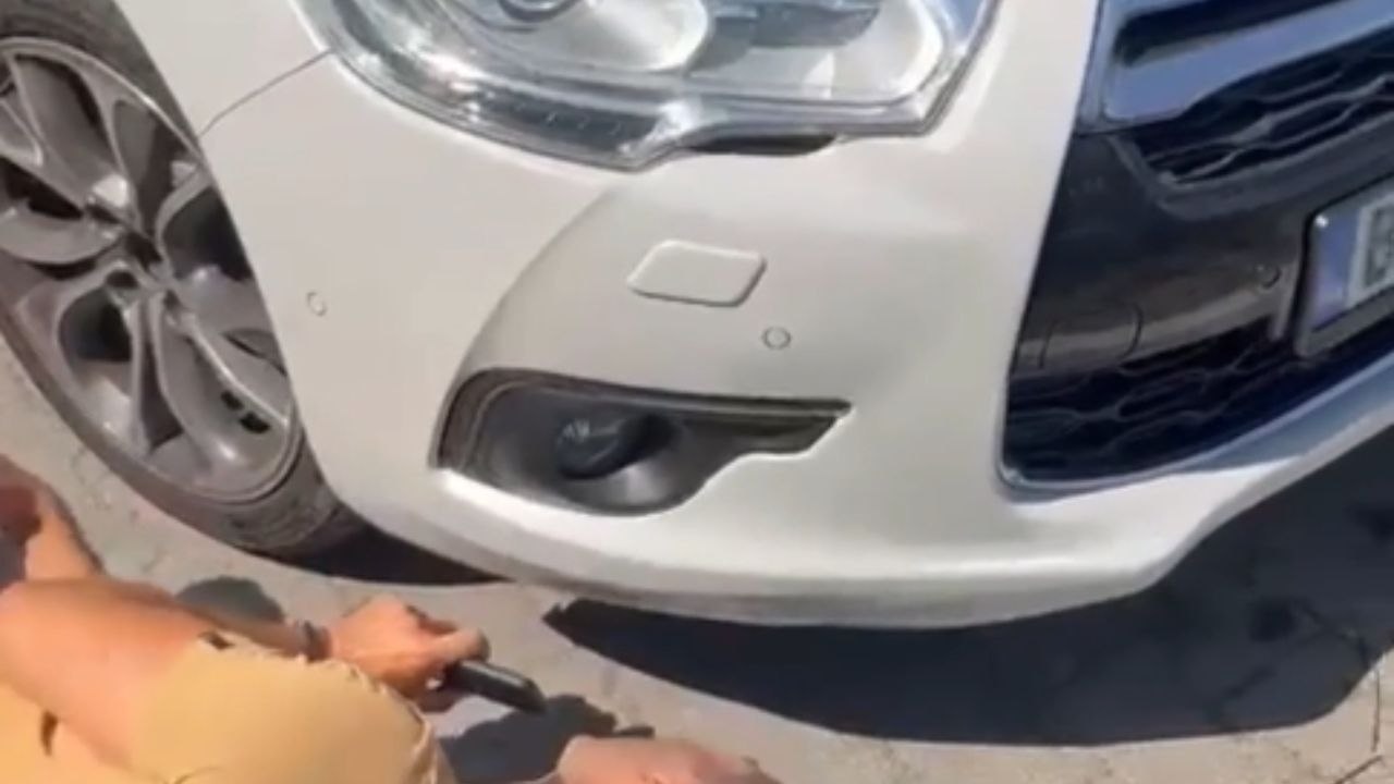 Quick-thinking fella gets cat out of harm's way in meow-morable rescue mission