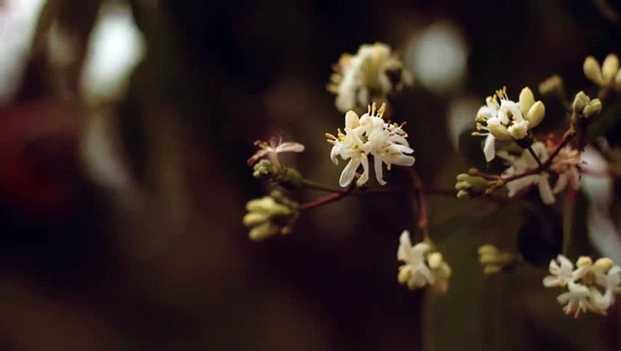 নতুন চটি গল্প | নতুন গল্প গোপনে দেখুন বাংলা চটি গল্প