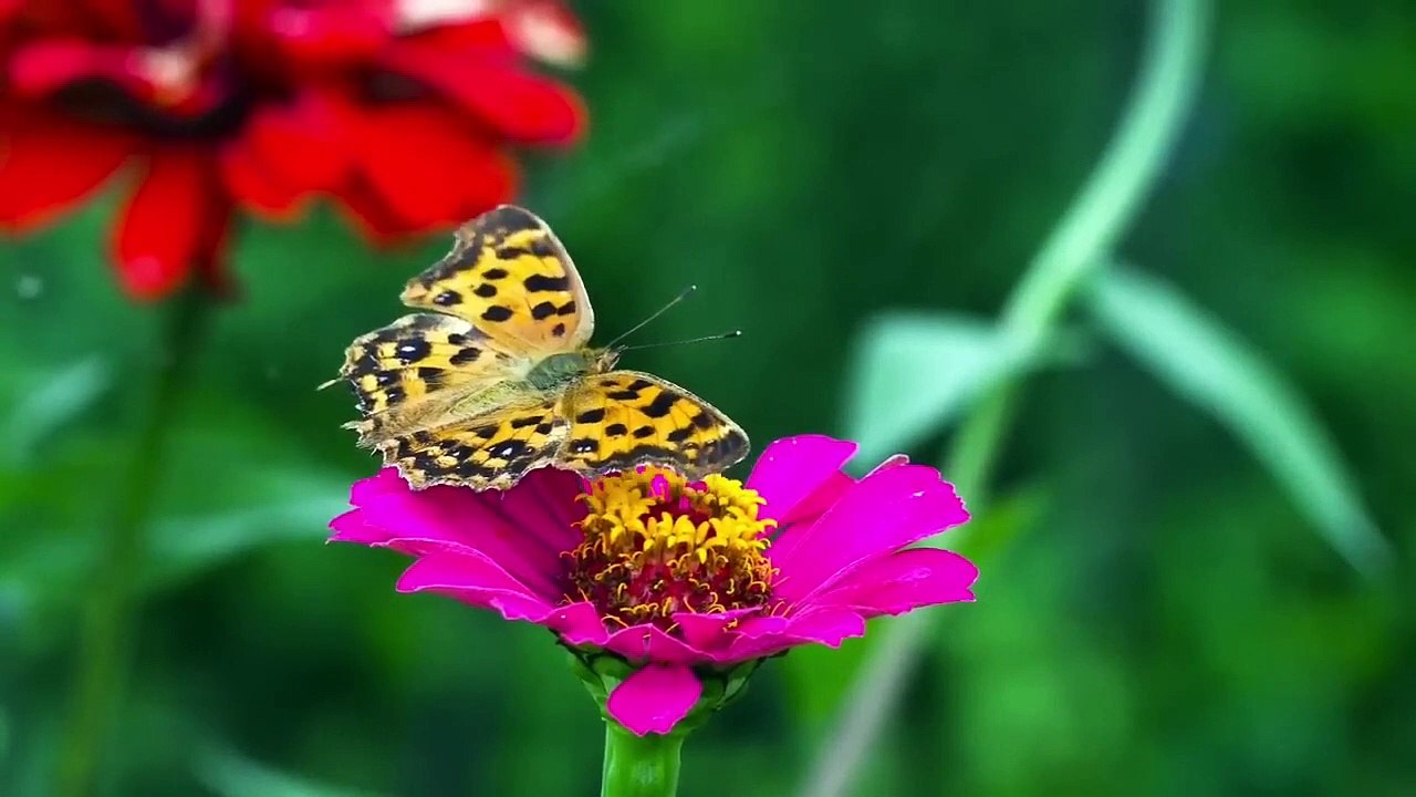 Bangla Choti Golpo | বাংলা চটি গল্প 2023