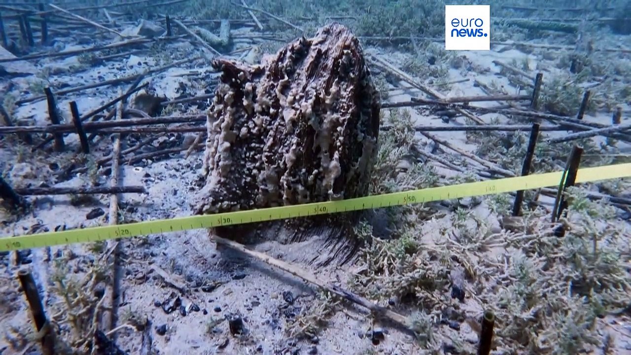 Un grupo de arqueólogos descubre el pueblo lacustre más antiguo de Europa