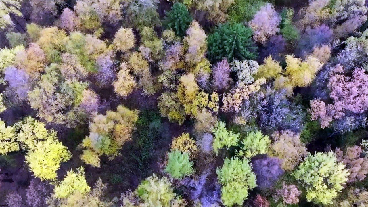 02. Ателье счастья.2023.