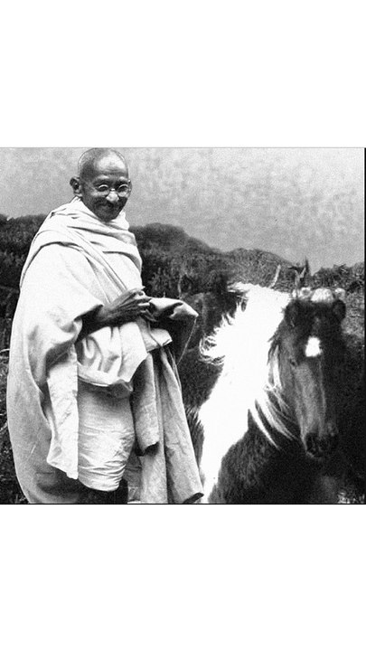 Gandhi -curiosidades