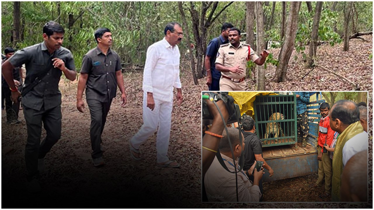 TTD Operation Chiruta: అమ్మవారి కళ్యాణోత్సవం వ‌ర్చువ‌ల్ గా TTD కొత్త నిర్ణయం | Telugu OneIndia