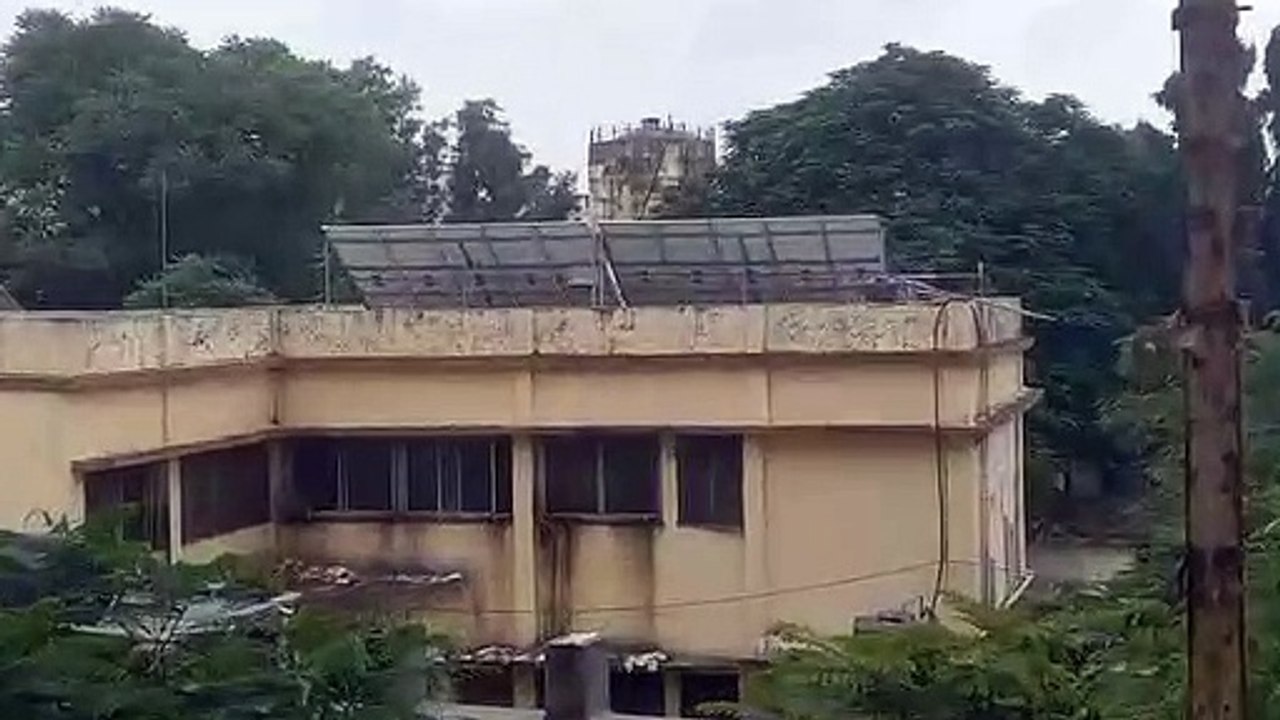 Solar panels are 'sick'