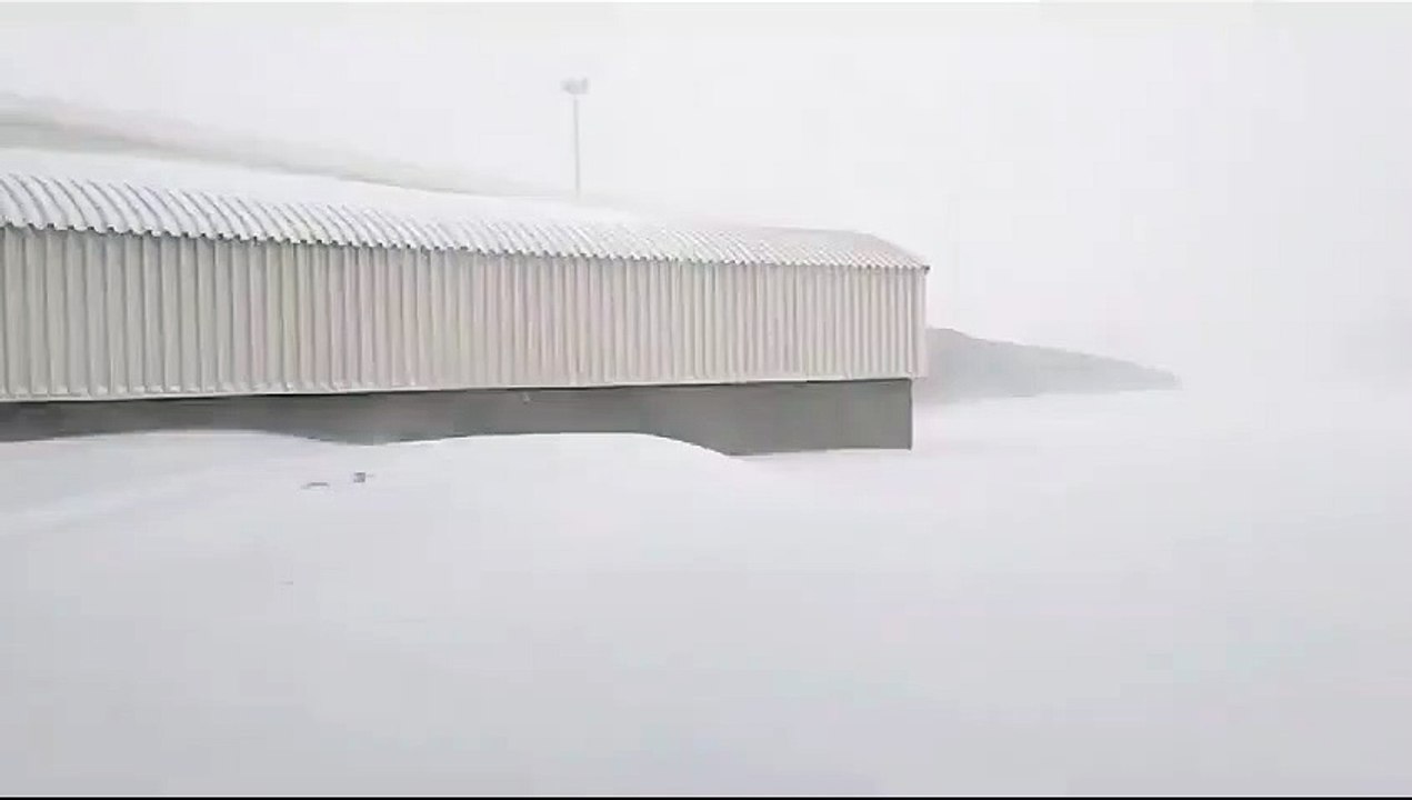 complejo libertadores