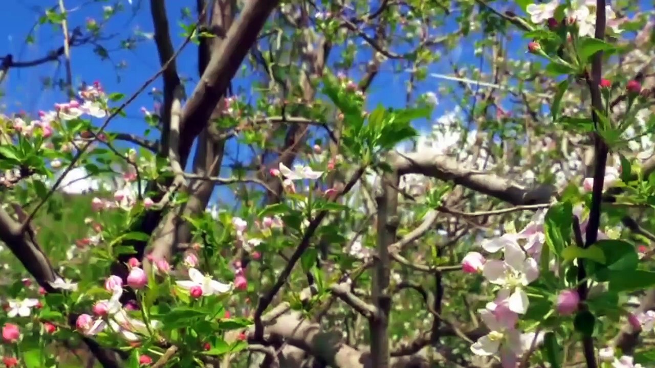 Beautiful Debates of Pakistan" A Journey of Life and History