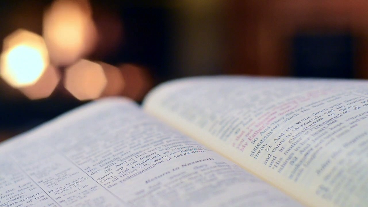 Explore a Wide Range of Books 📚