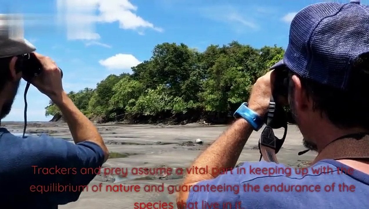 Getting a handle on the Gig of Tracker and Prey in Regular life Organic frameworks