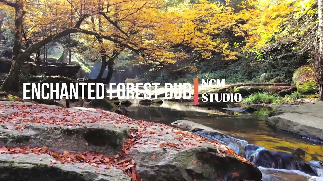 Enchanted Forest Dub - South London HiF  Reggae Musici, Happy Music, Tribal Music, Ritual Music