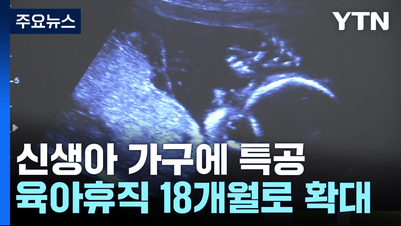 신생아 특공·맞돌봄 육아휴직 18개월...노인 일자리 백만 개 / YTN