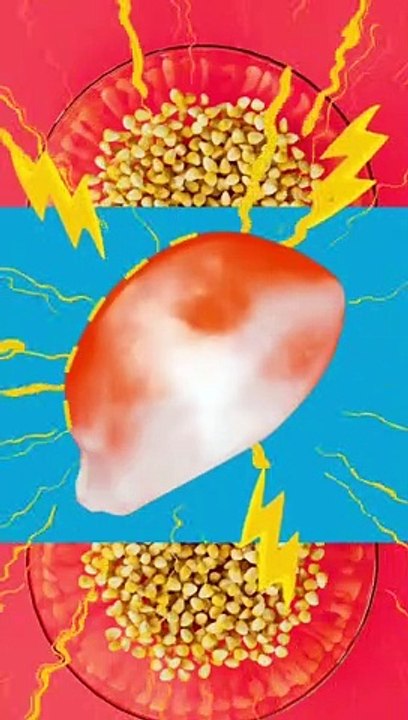 Why Popcorn Pops Brightside Food