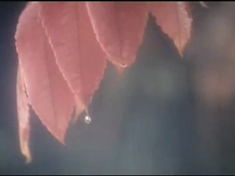 Rim Jhim FR - 1942 A Love Story