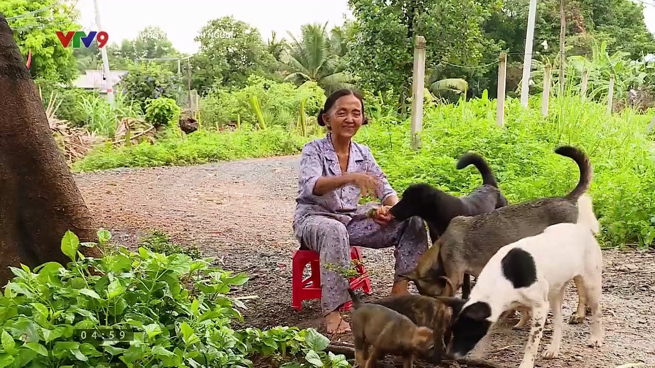 Cung Đường Tội Lỗi Tập 45