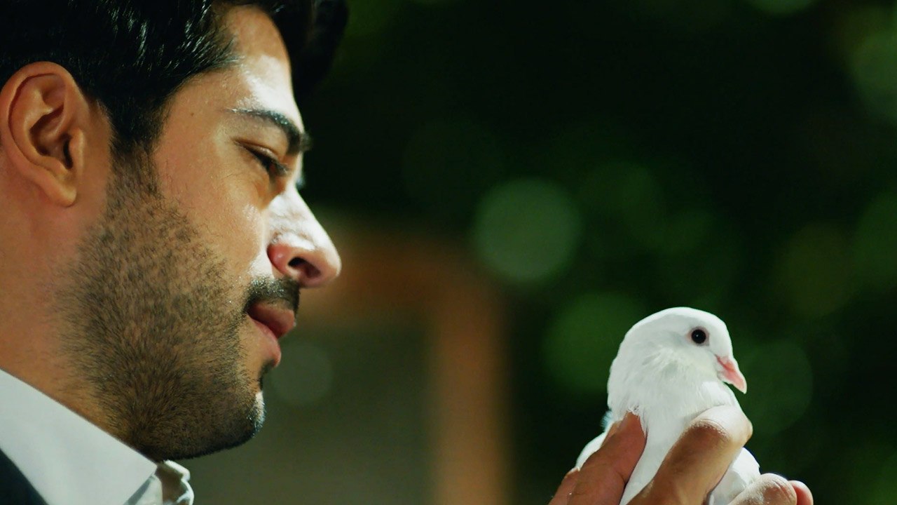 حب أعمى | الحلقة 119 | Kara Sevda