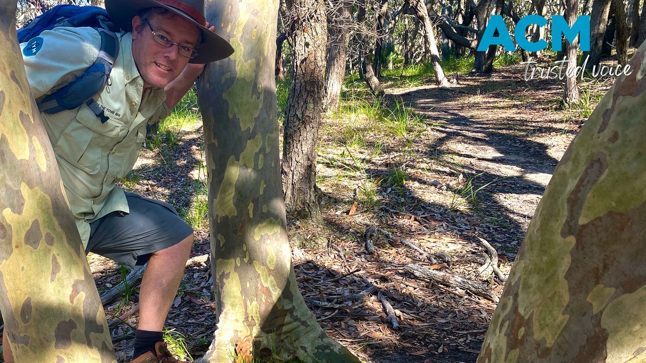 Tim The Yowie Man uncovers the mysteries of the Well Tree