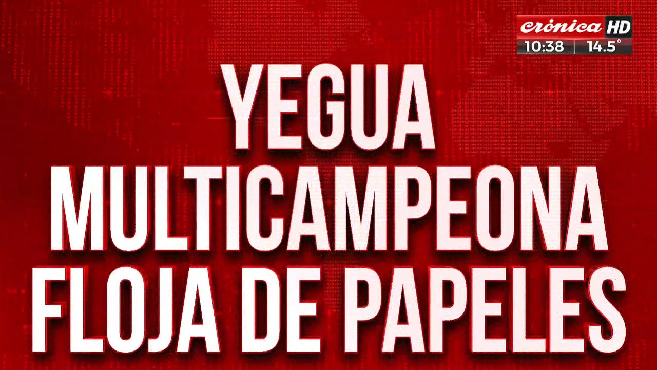 Exportación trucha: yegua multicampeona iba a ser vendida a precio ridículo