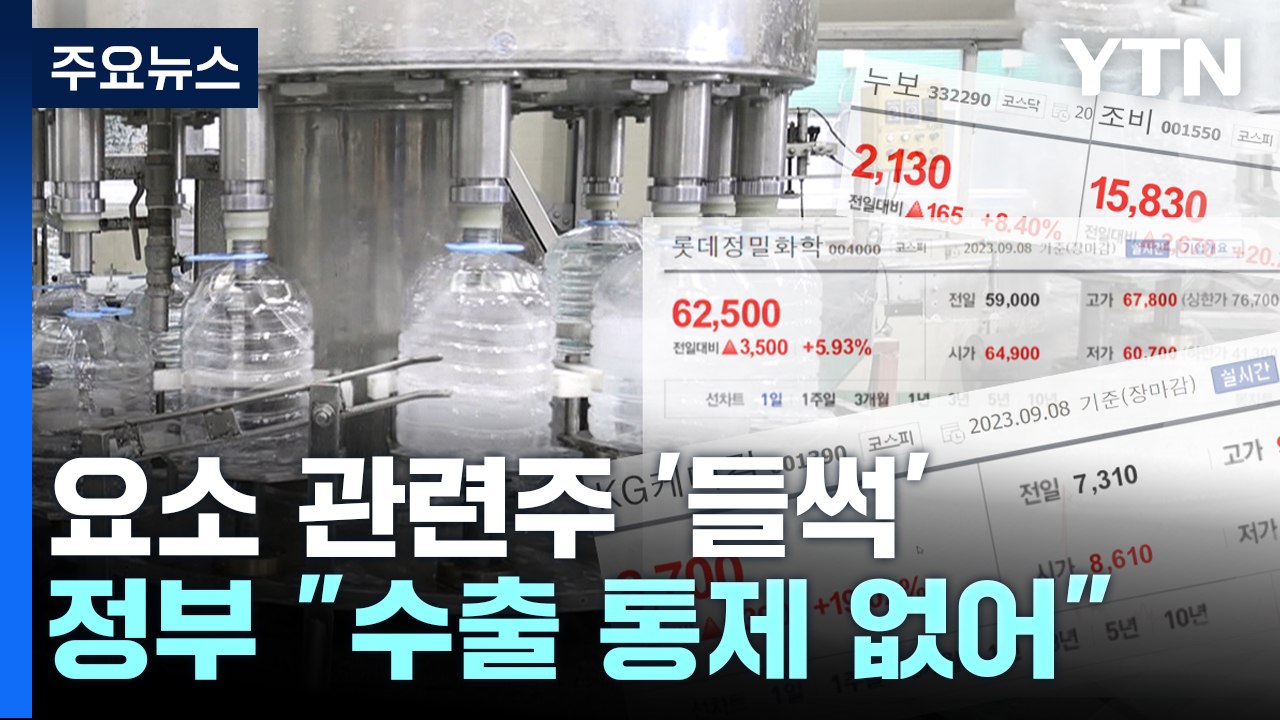 요소 관련주 '들썩'... 정부 "수출 통제·수급 문제 없다" / YTN